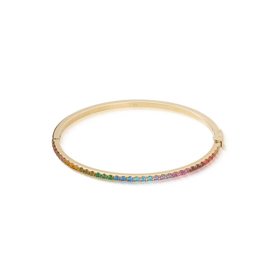 Eternal Love bangle gold-rainbow