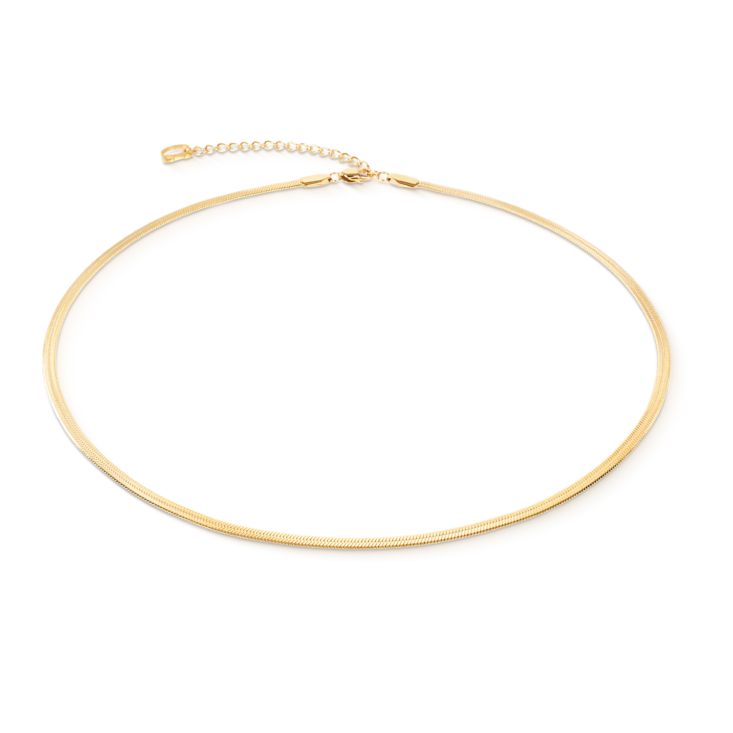 Flat Snake Chain Necklace Gold