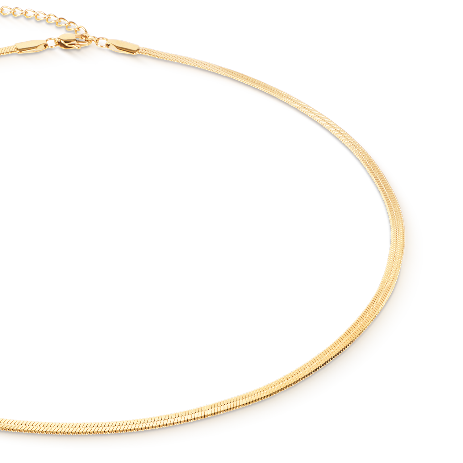Flat Snake Chain Necklace Gold
