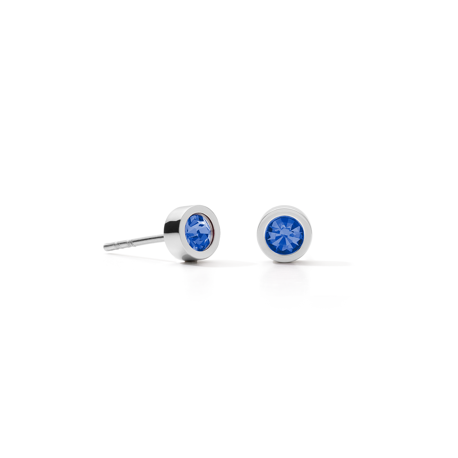 Earrings Sparkling Dot silver