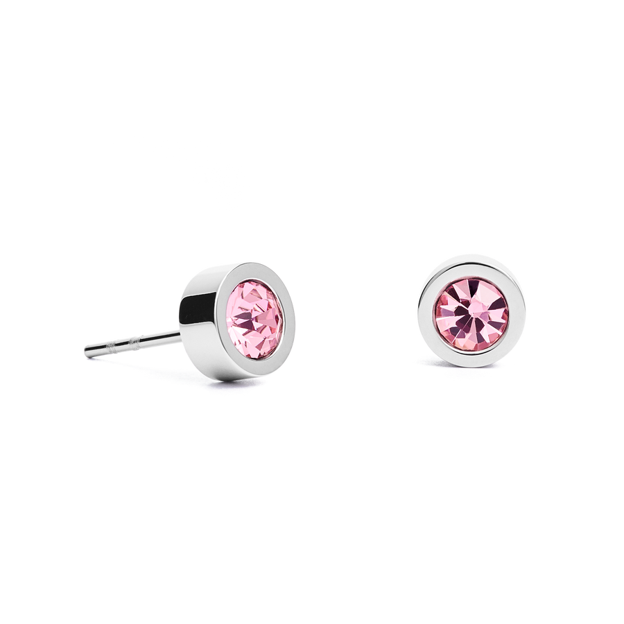 Earrings Crystal & stainless steel silver rose