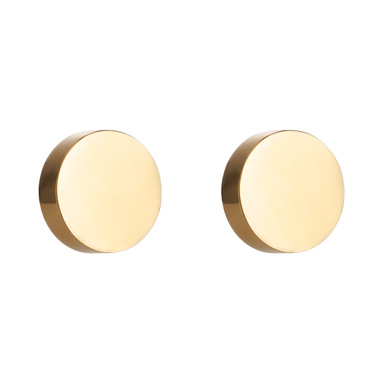Earrings Round stainless steel gold