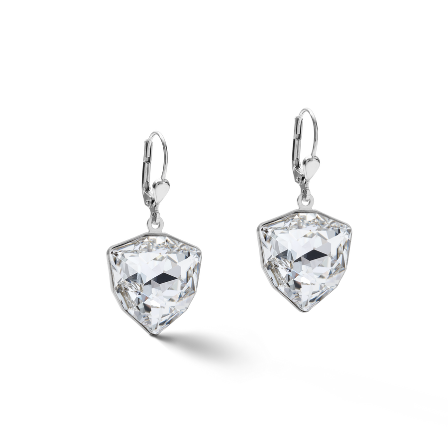 Earrings Magic crystal & chunky chain crystal